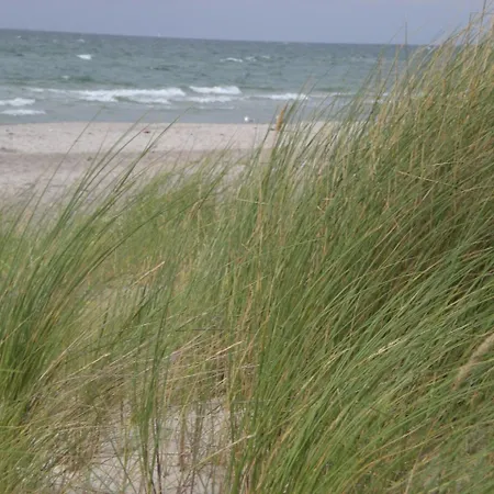 Achtern - Diek - Am * Ostseeheilbad Zingst