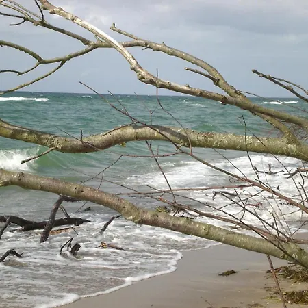 Achtern - Diek - Am Lejlighed Zingst