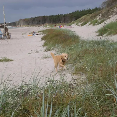 Achtern - Diek - Am Lejlighed Zingst